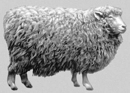 Kuibyshev race de moutons