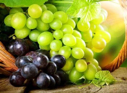 Propriétés utiles des raisins
