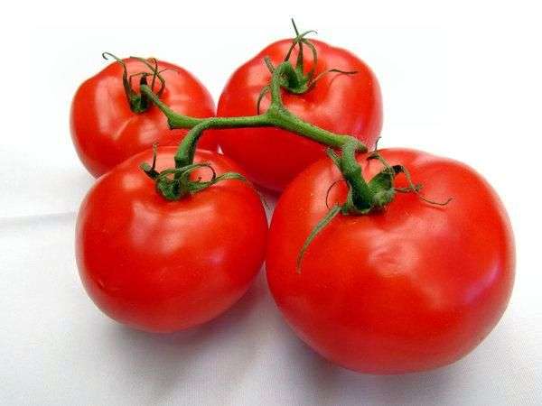 Variété de tomate Ultra rash