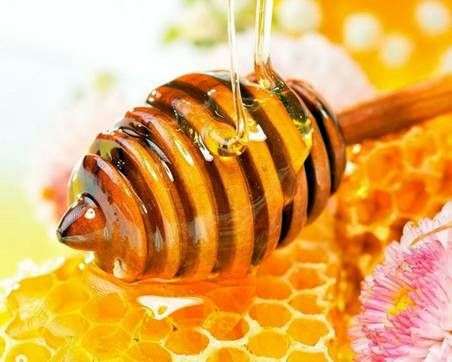 Propriétés thérapeutiques du miel